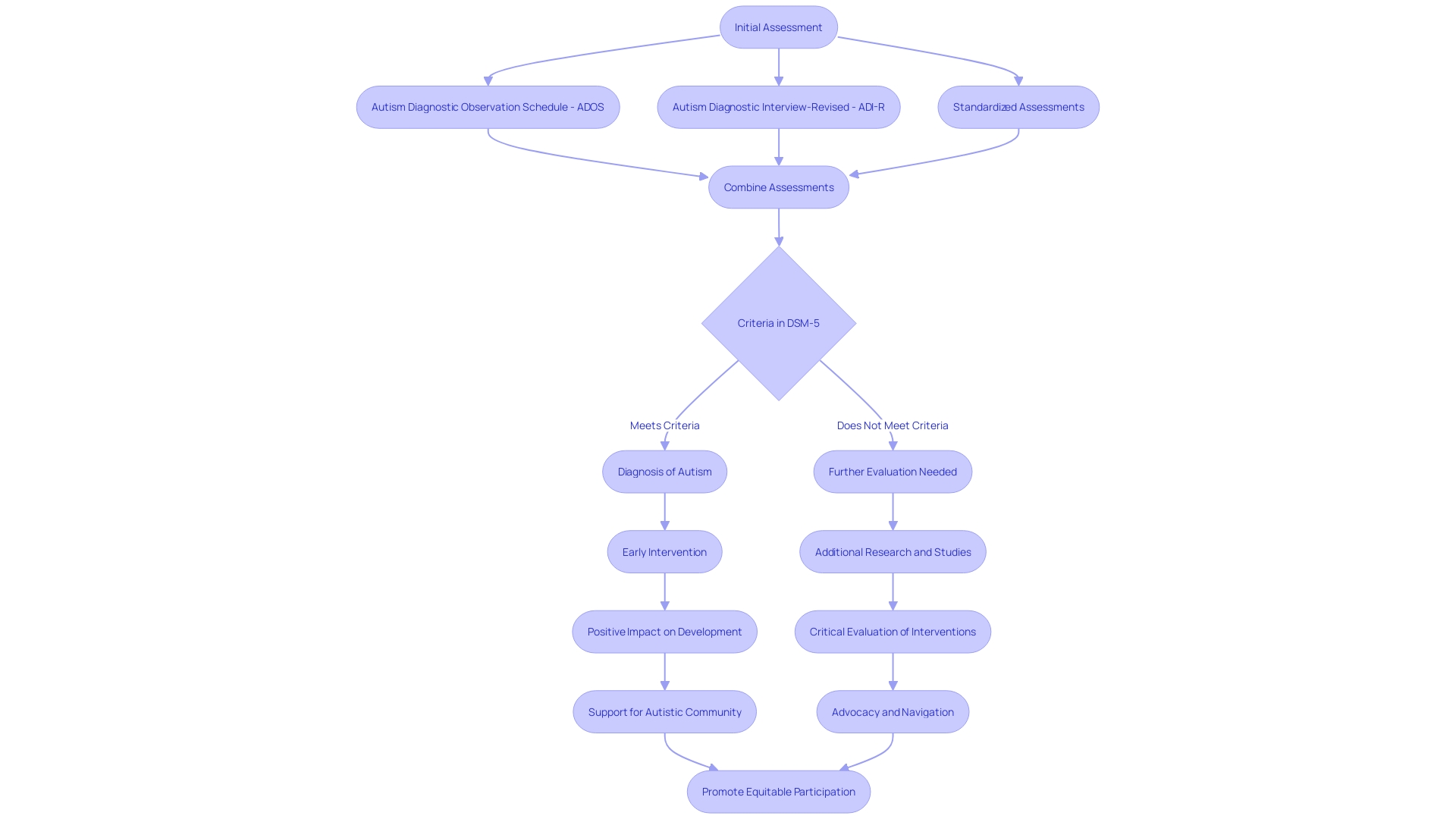 Flowchart of Autism Evaluation Process