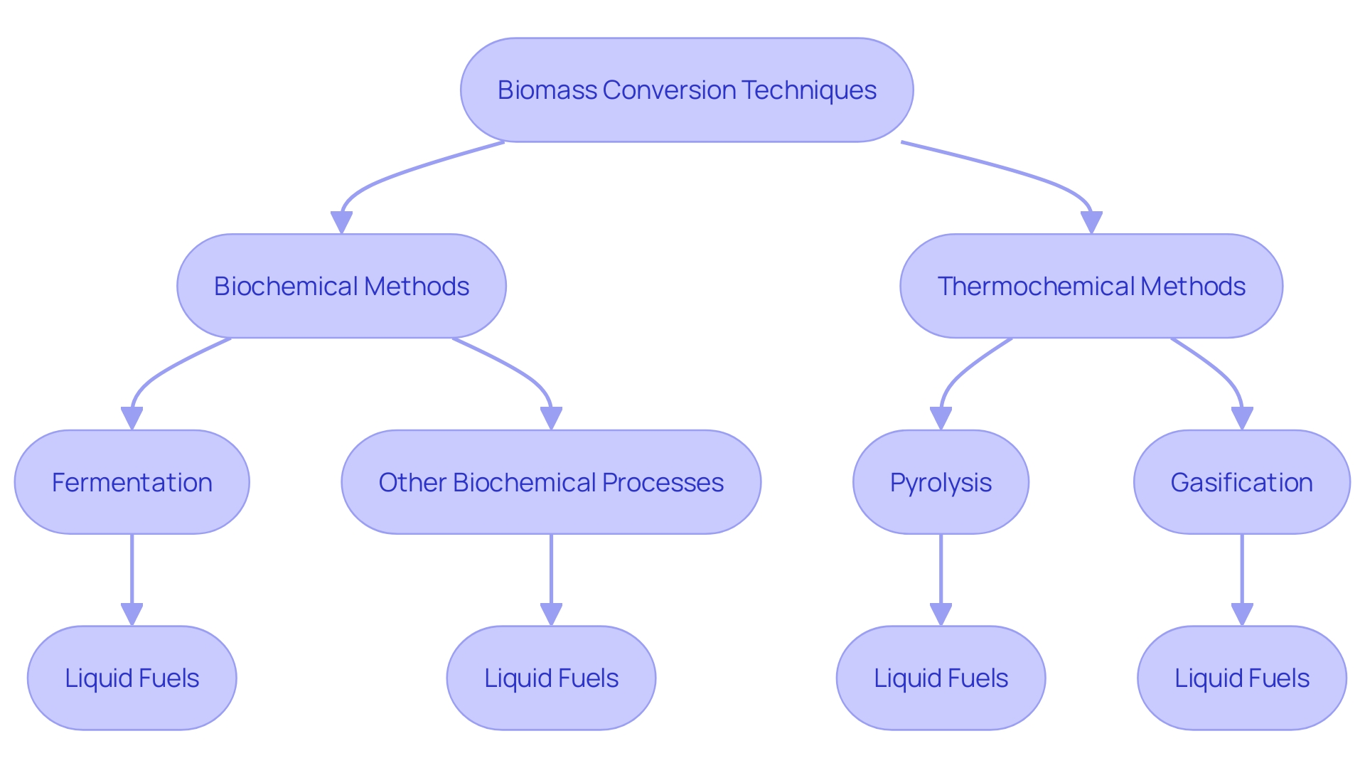 Flowchart of Biomass Conversion Techniques