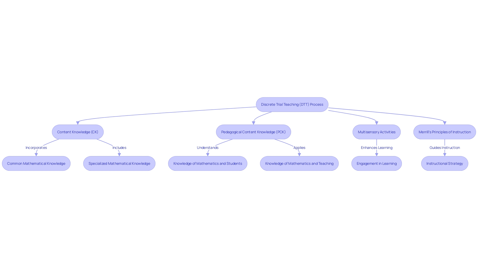 Flowchart of Discrete Trial Teaching Process