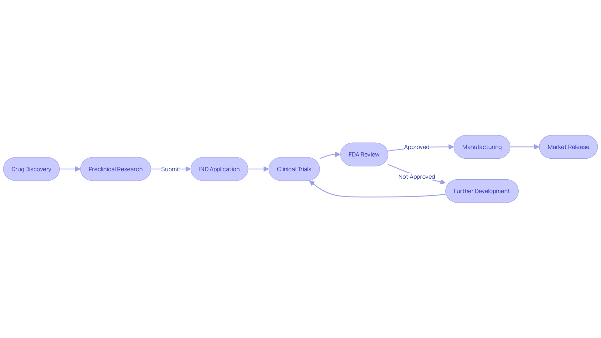 Flowchart of Drug Development Process