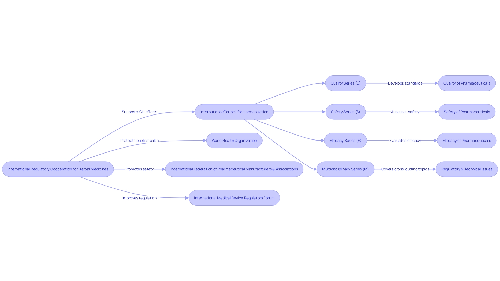 Flowchart of ICH Harmonization Efforts