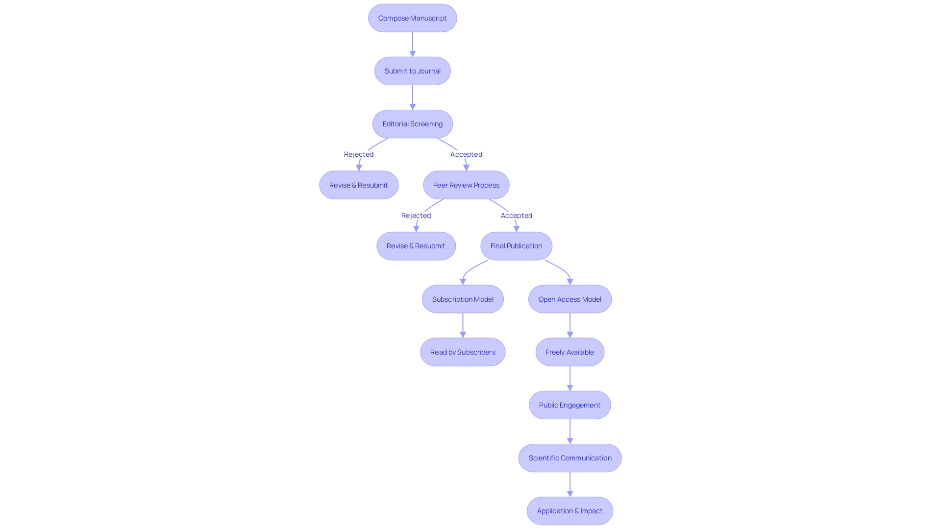 Flowchart of the Academic Publishing Process