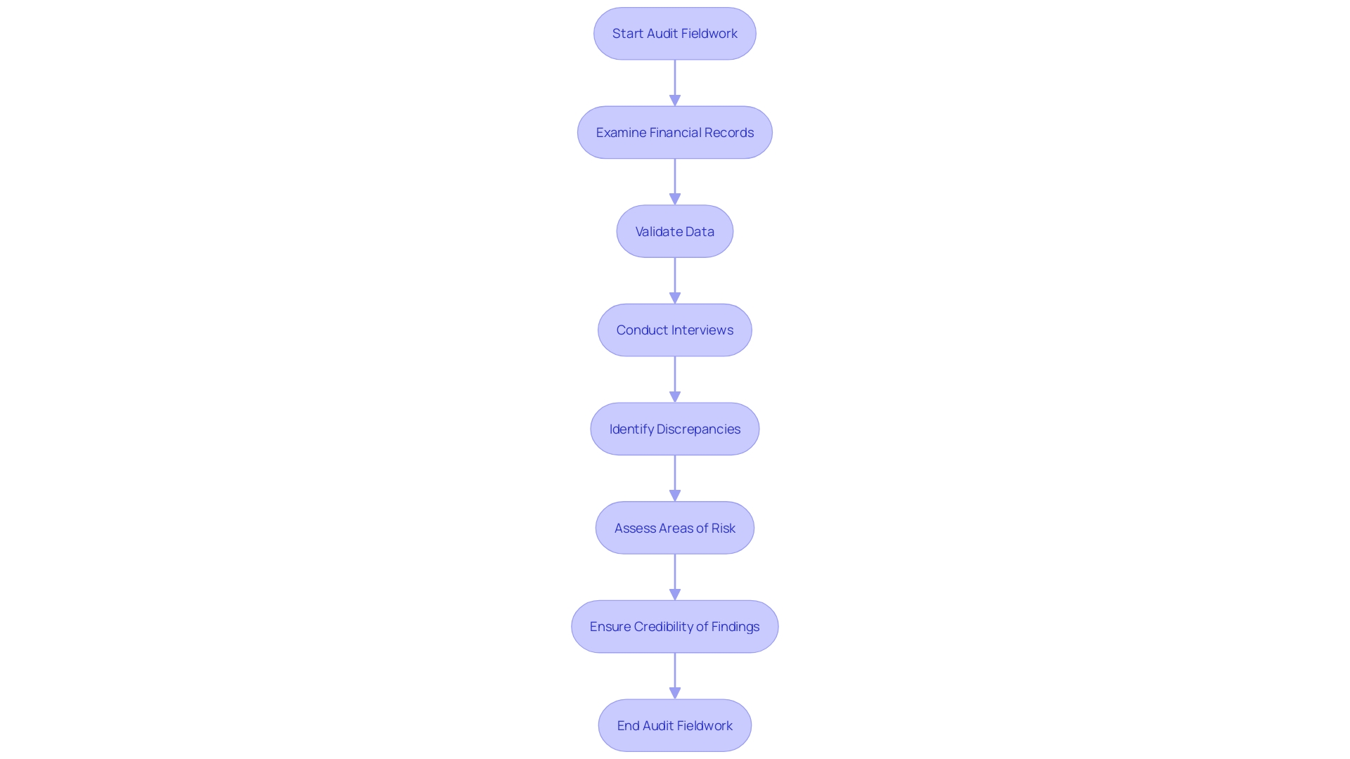 Flowchart of the Audit Fieldwork Process