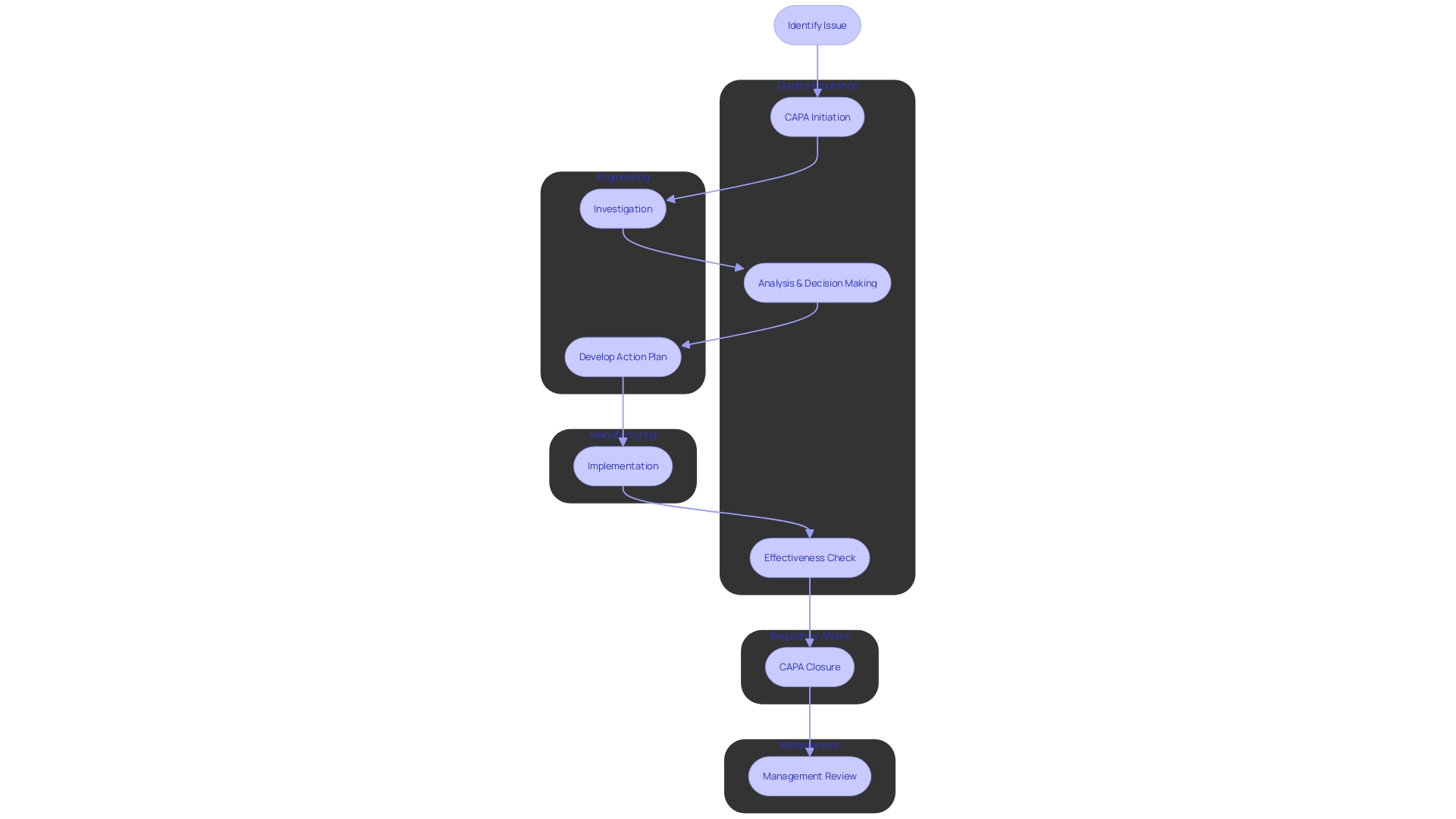 Flowchart of the CAPA Process Roles