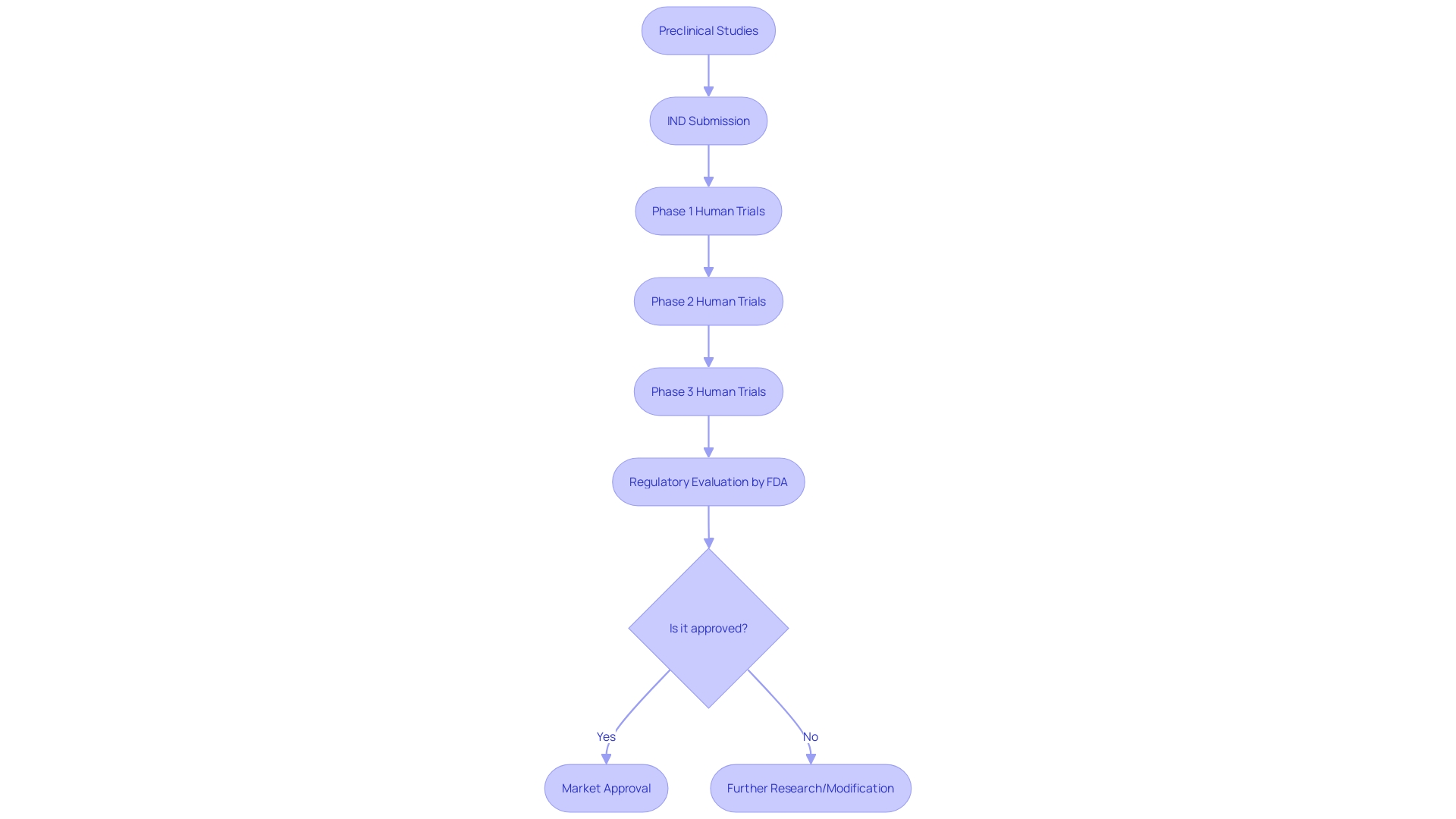 Flowchart of the Clinical Trial Process