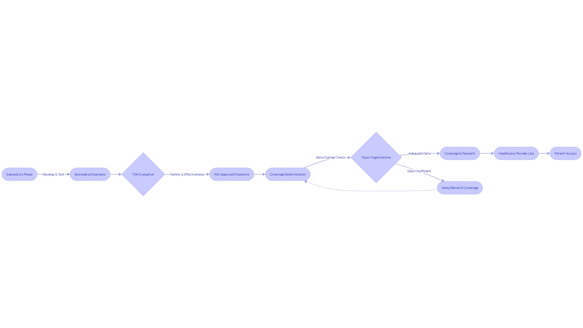 Flowchart of the Clinical Trials Process