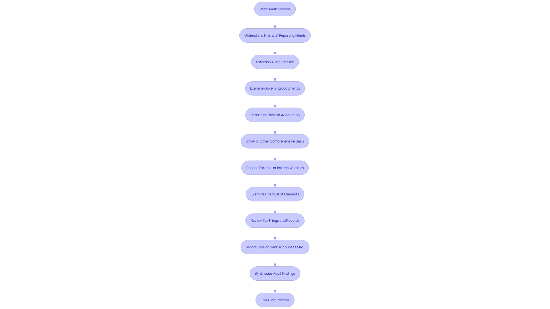 Flowchart of the Financial Audit Process