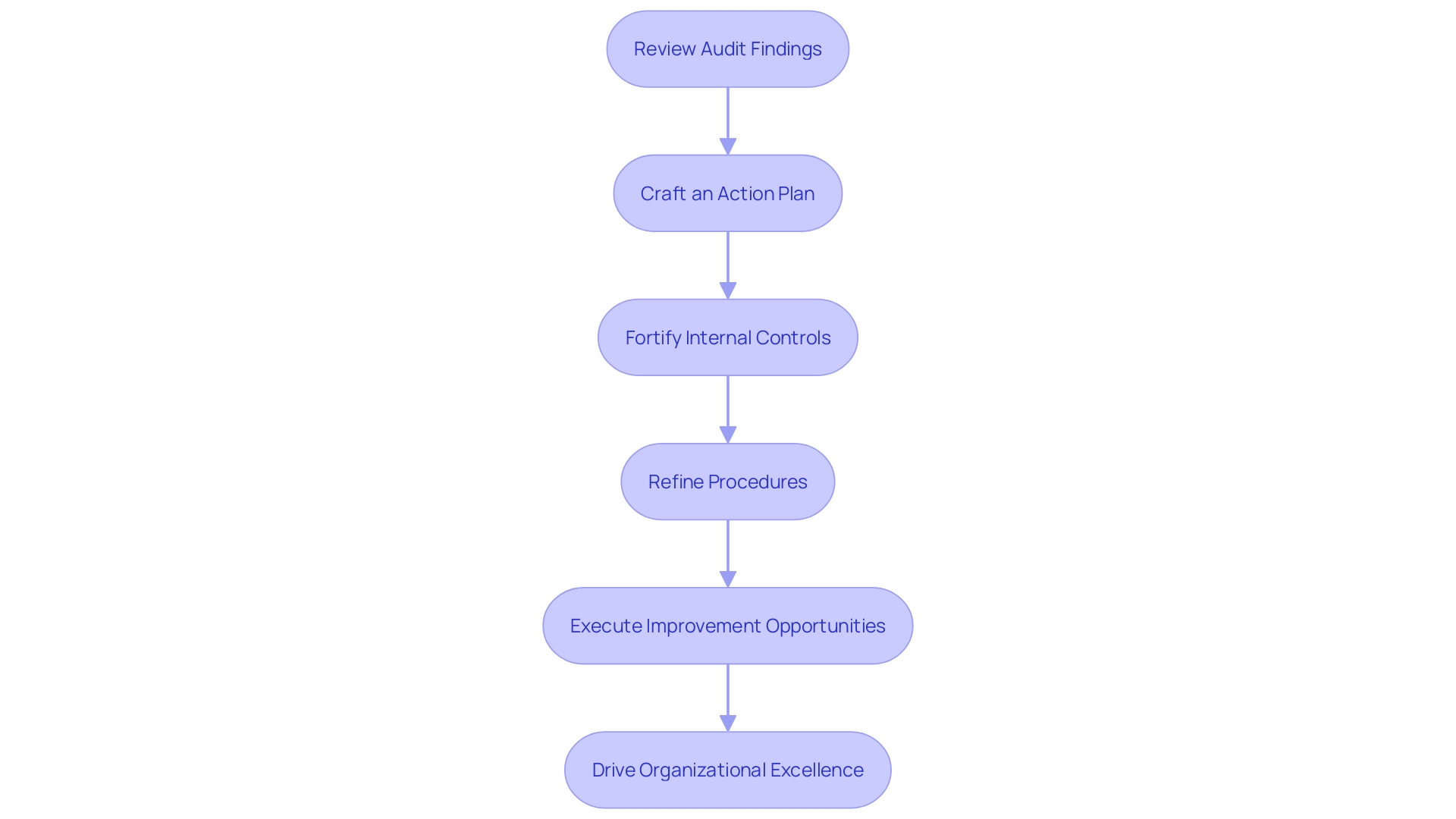 Flowchart: Post-Audit Corrective Measures