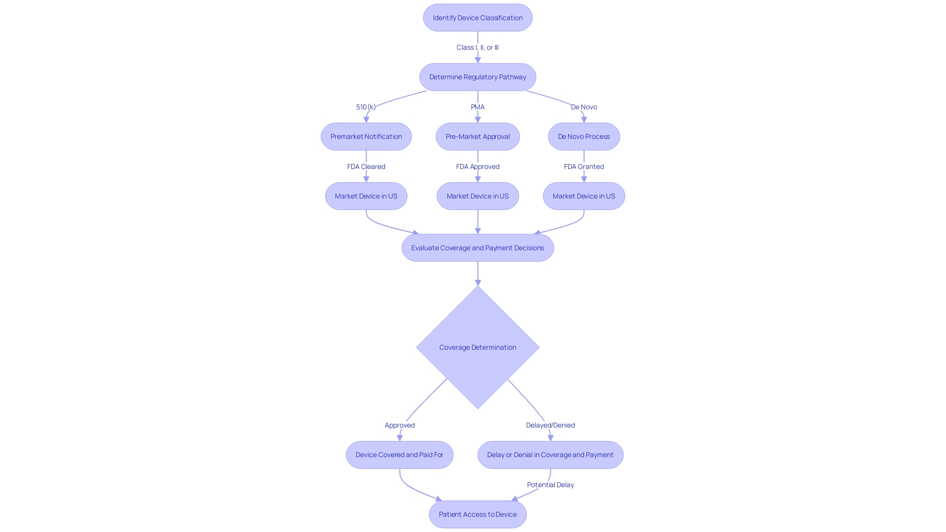 Flowchart: Pre-Market Approval Process for High-Risk Medical Instruments