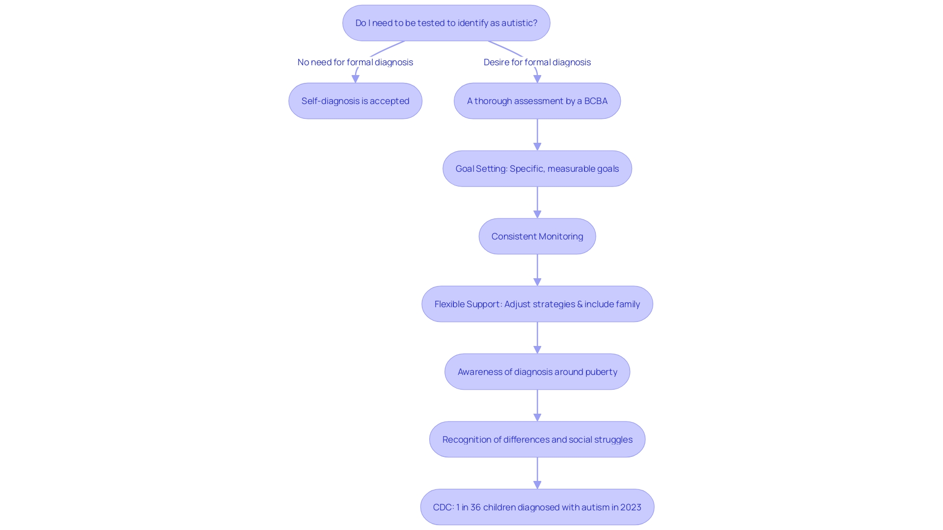 Flowchart: Process of Autism Diagnosis and Support