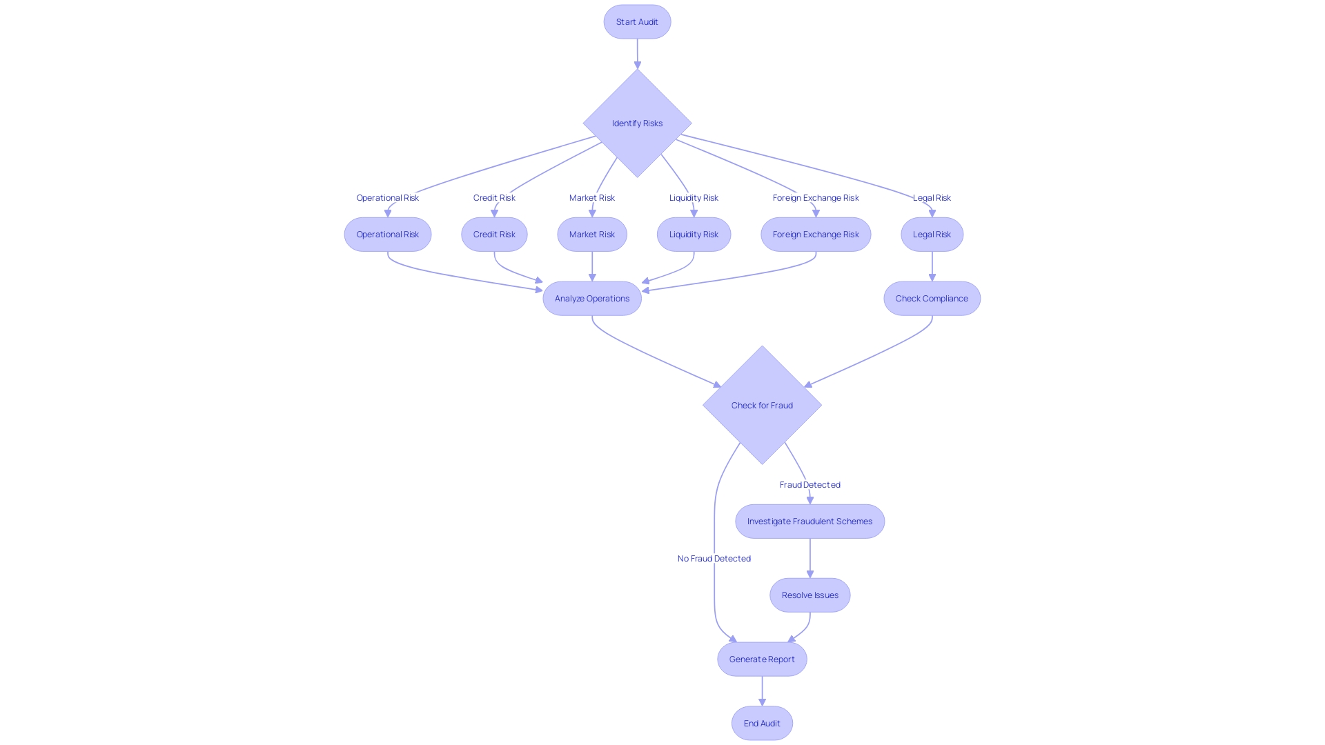 Flowchart: Process of Financial Audit