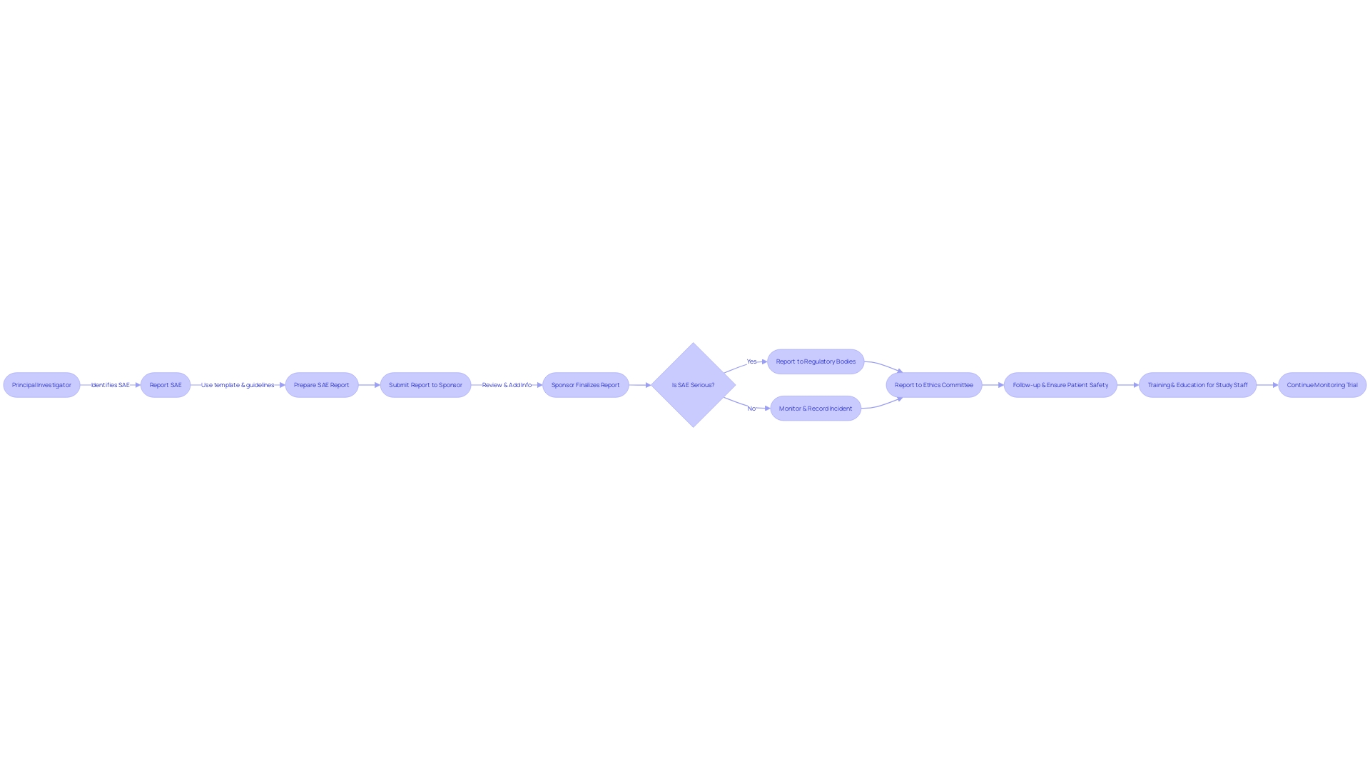 Flowchart: SAE Reporting Process