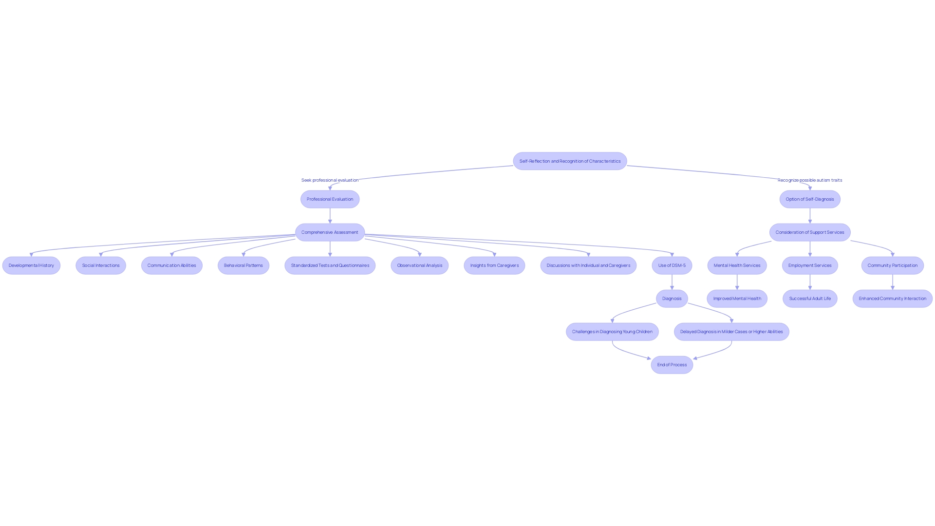 Flowchart: The Diagnostic Process for Autism in Adults