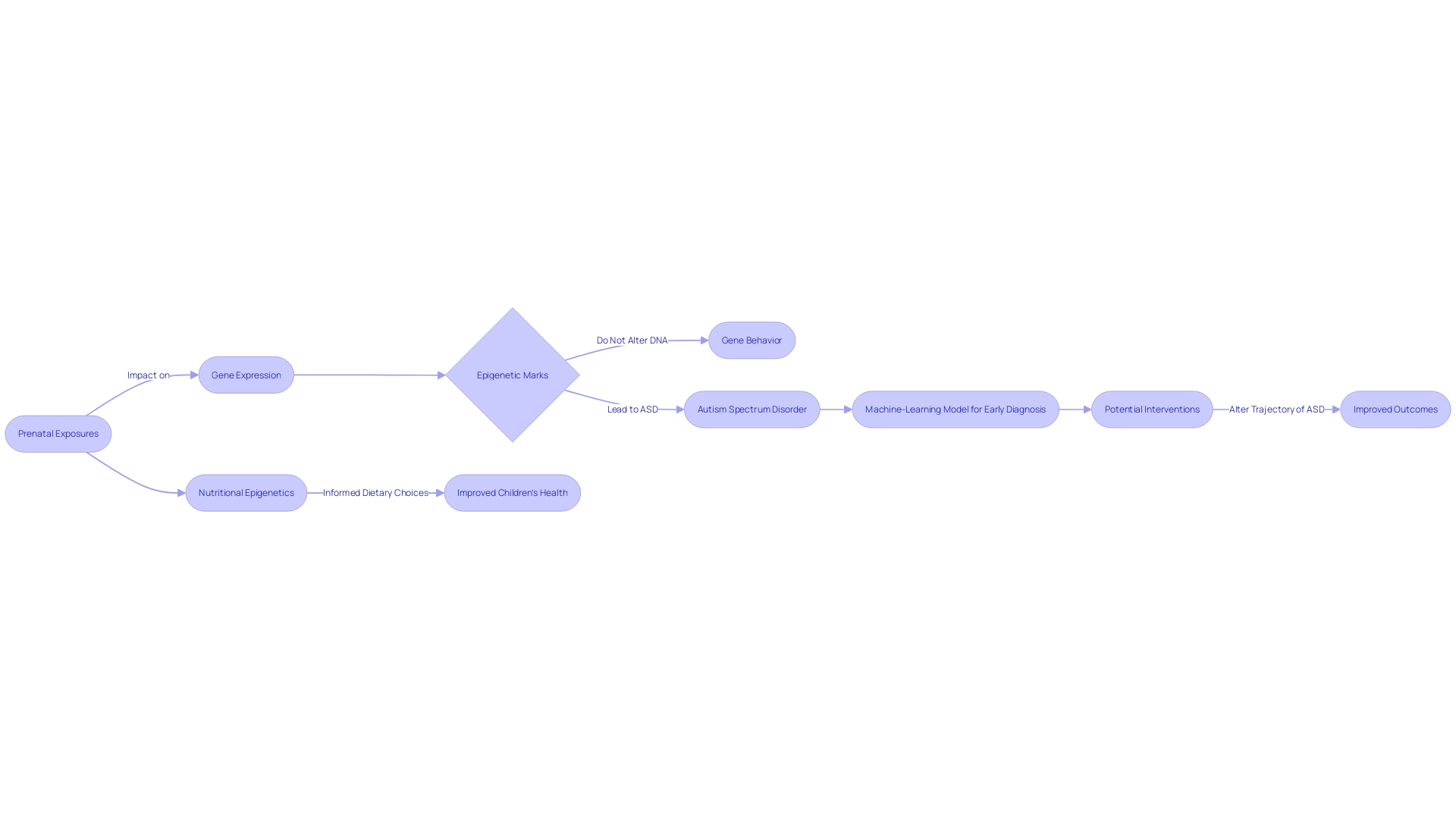 Flowchart: The Influence of Genes and Environment on ASD Development