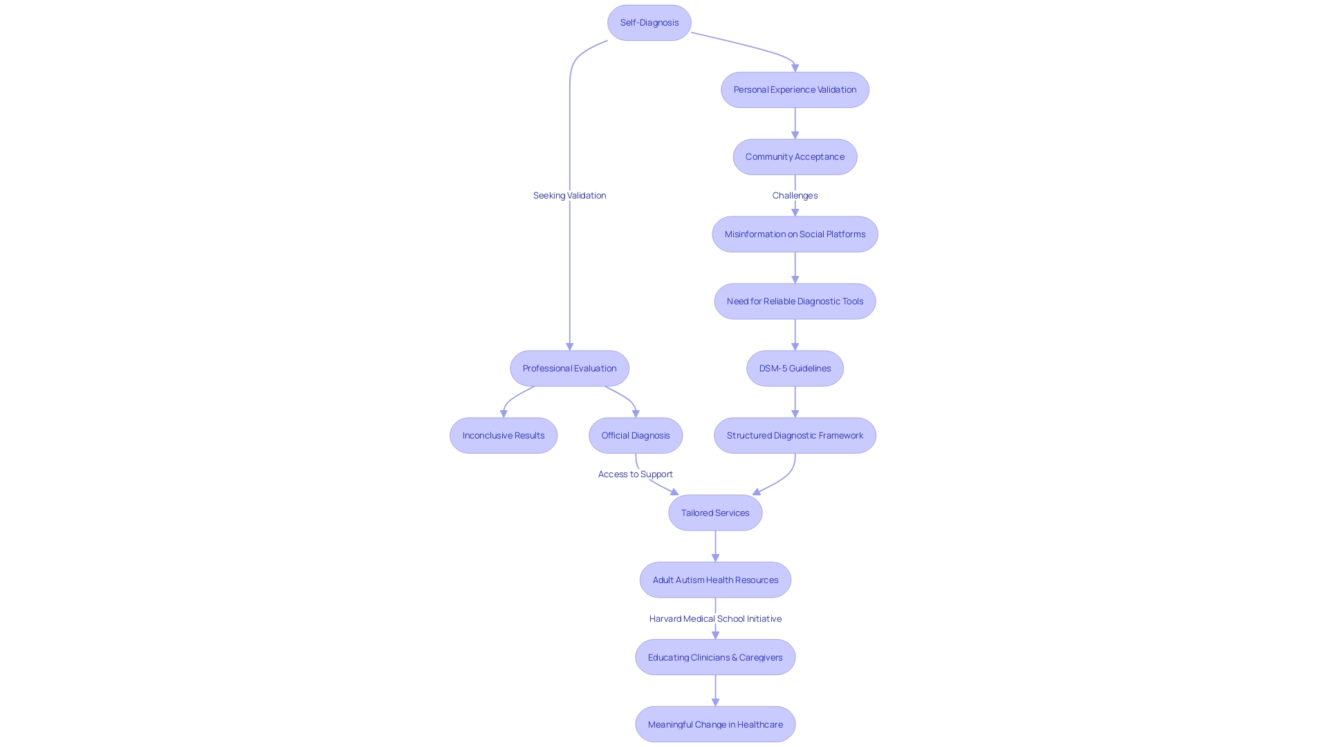 Flowchart: The Journey to Autism Diagnosis