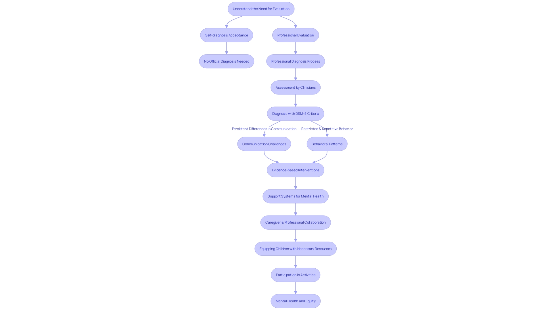 Flowchart: Understanding the Autism Evaluation Process