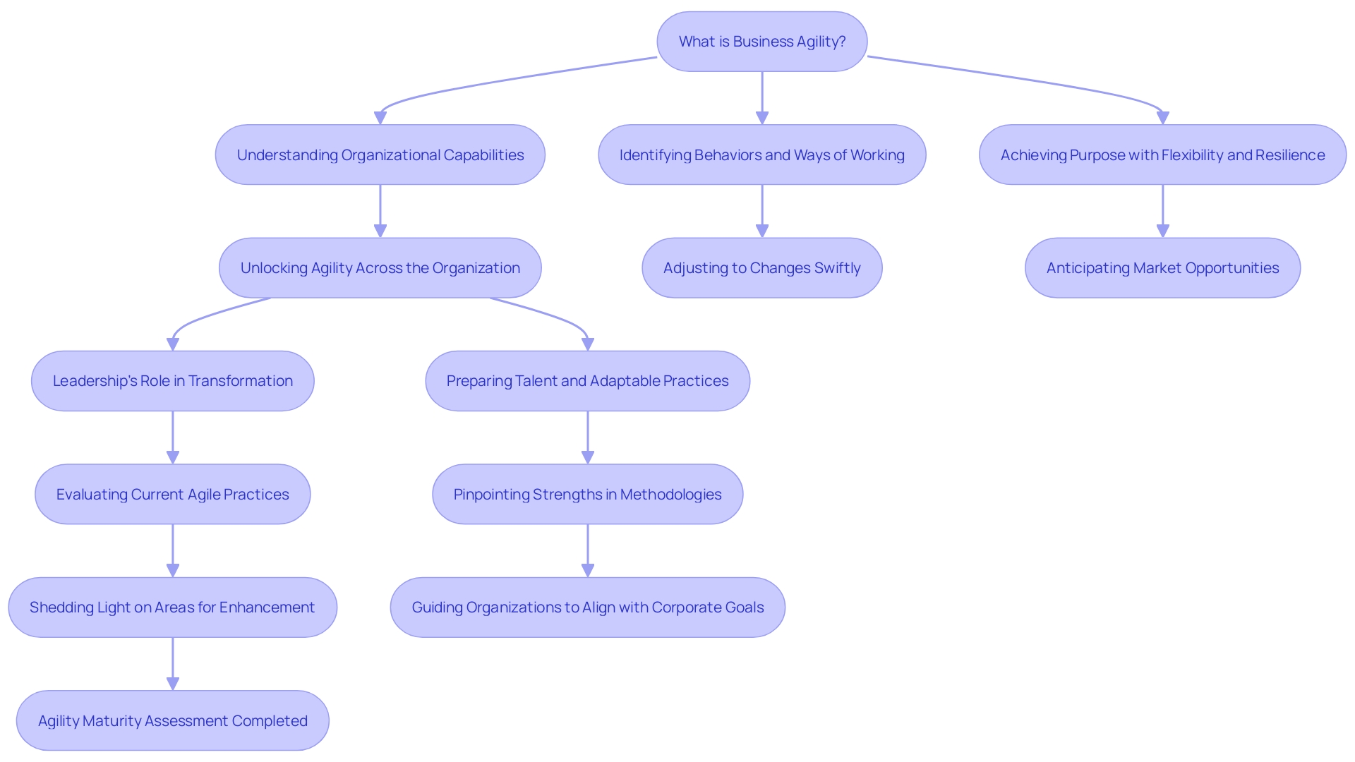 Flowchart visualizing the process of agility maturity assessments