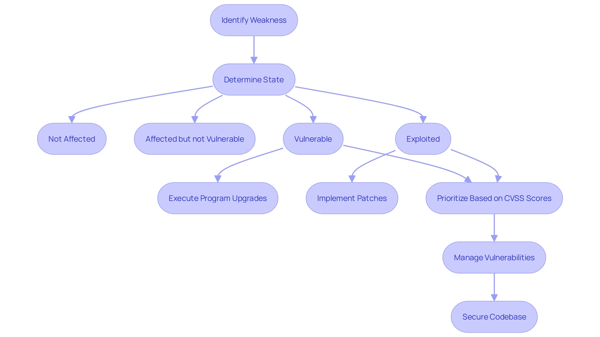 Flowchart: Vulnerability Management Process