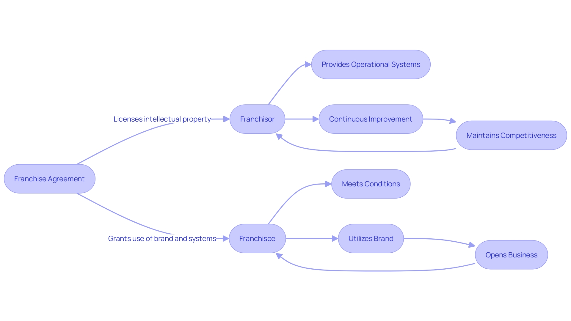 Franchise Model Flowchart