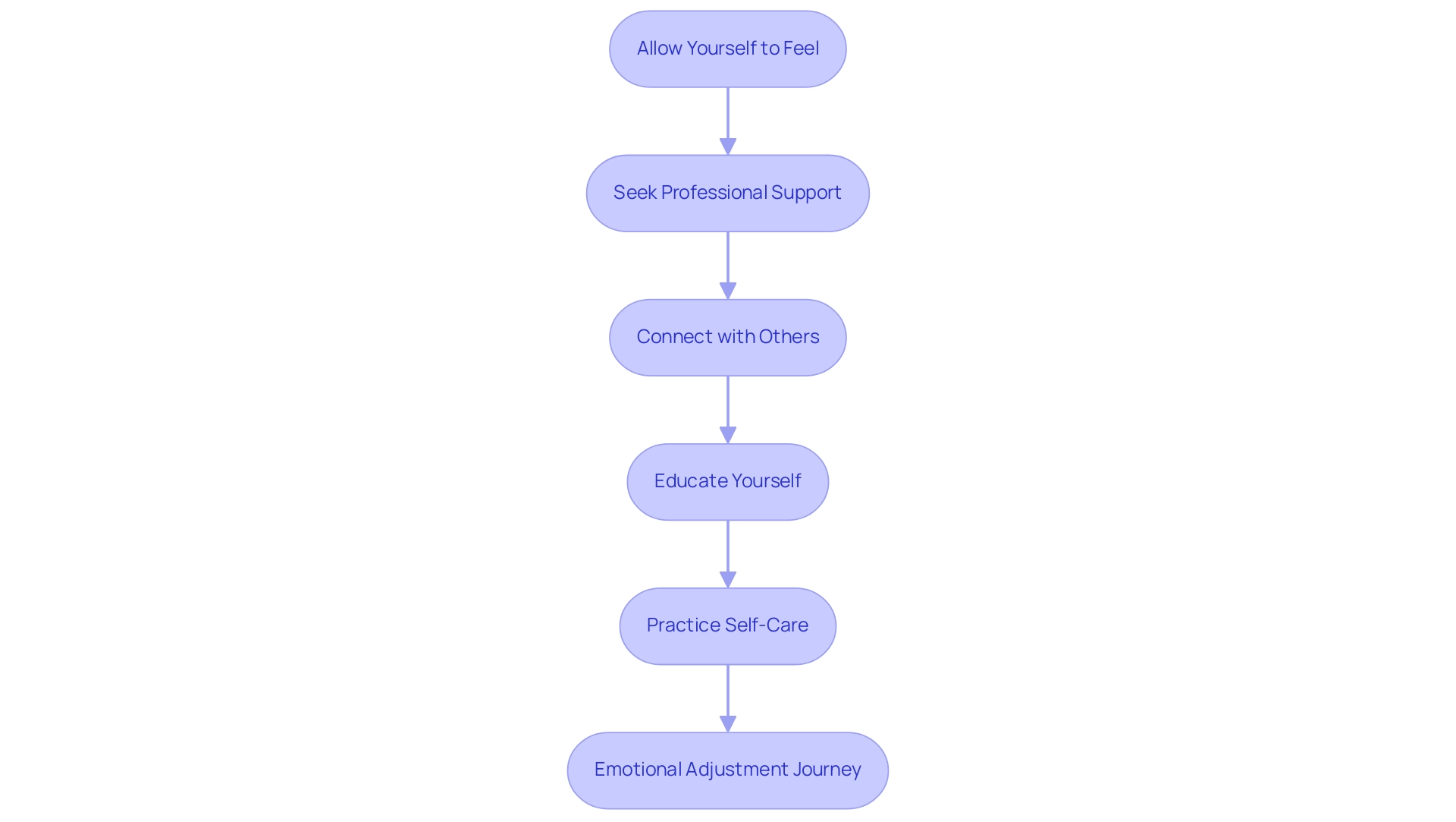 Each box represents a step in the emotional adjustment process, with arrows indicating the sequential flow from one step to the next.