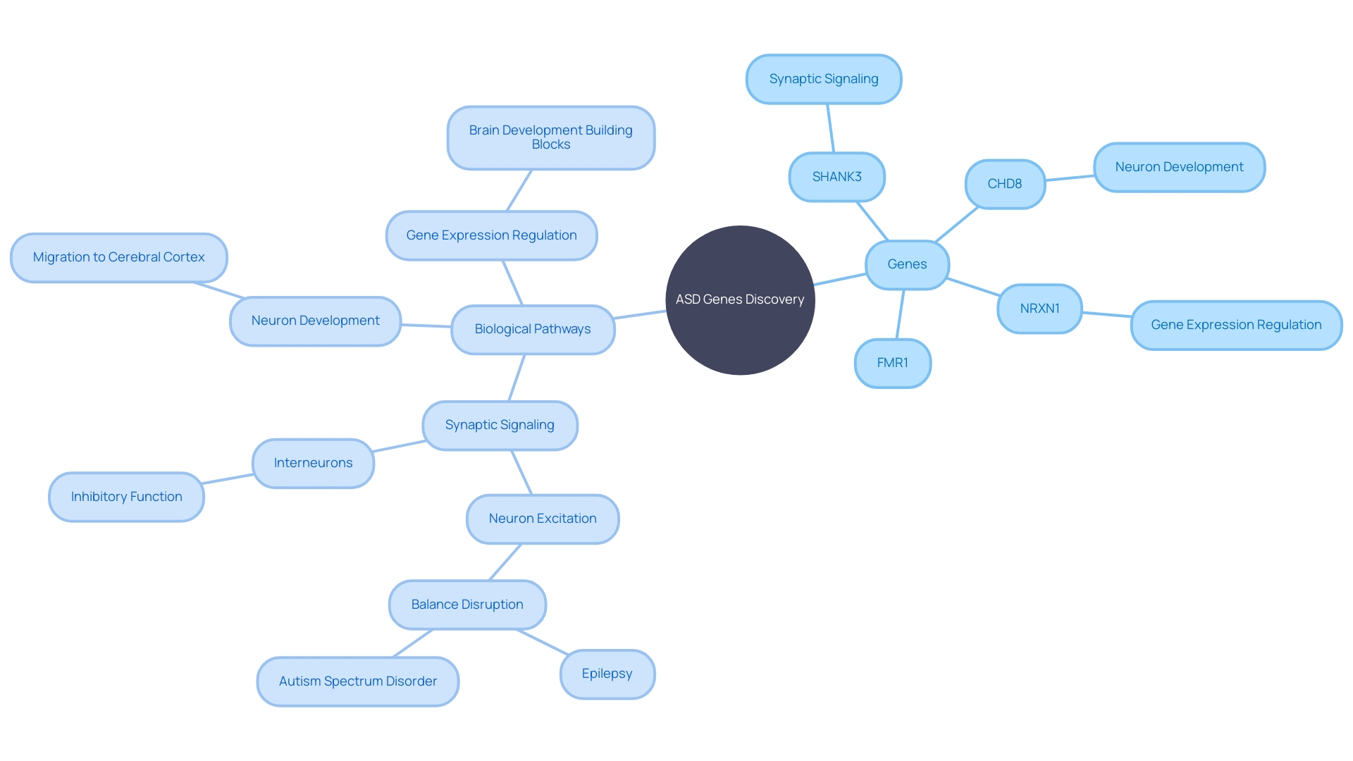 Genes Involved in Autism Spectrum Disorder (ASD)