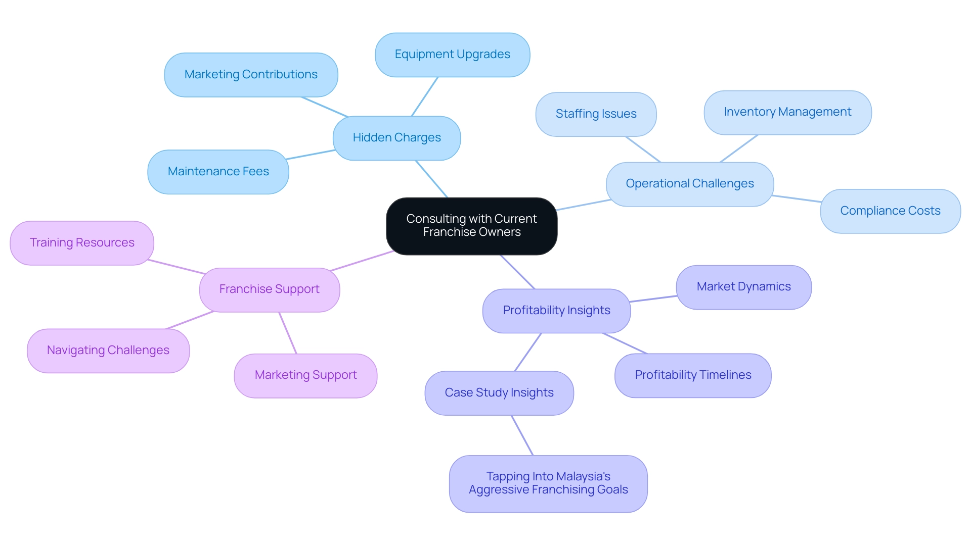 The central node represents the main topic, with branches showing the key areas of insight provided by franchise owners.