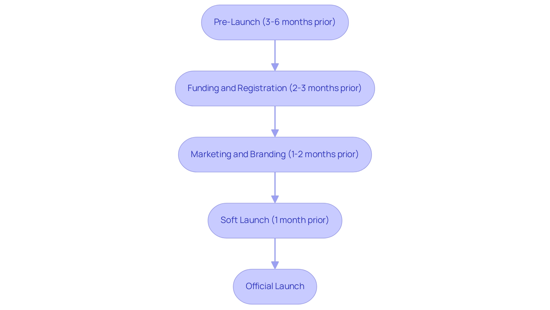 Each box represents a phase in the business launch process, with arrows indicating the sequential flow from one phase to the next.