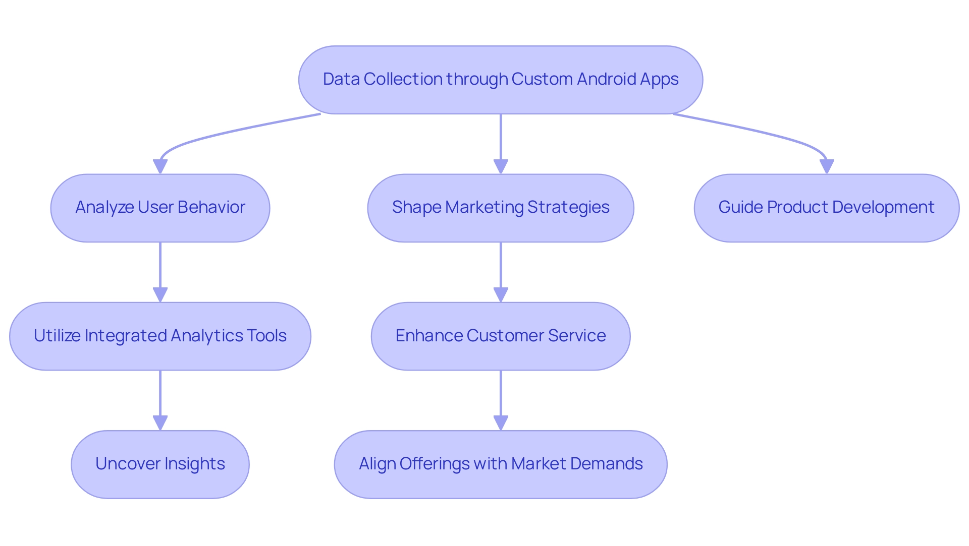 Each box represents a stage in the process, with arrows indicating the flow of data from collection to application in various business strategies.