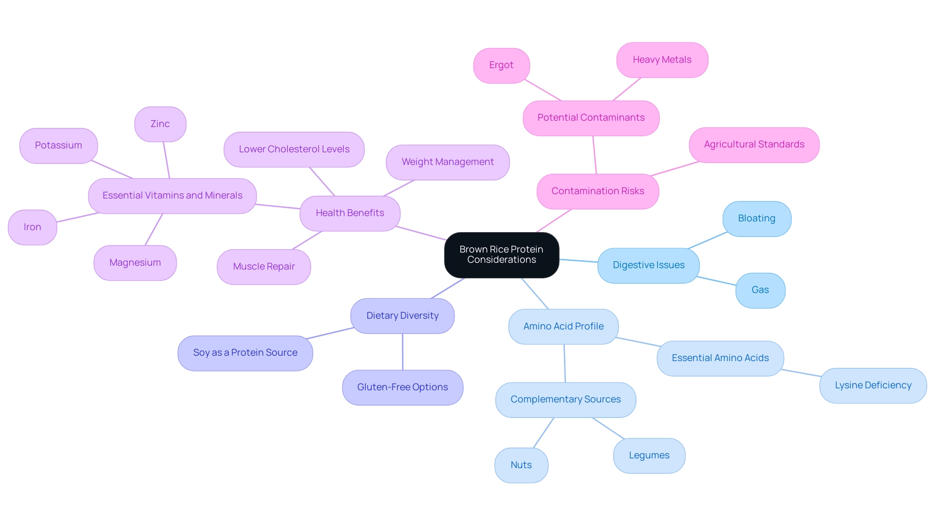 The central node represents brown rice protein considerations, with branches indicating the main topics and sub-branches providing specific details.