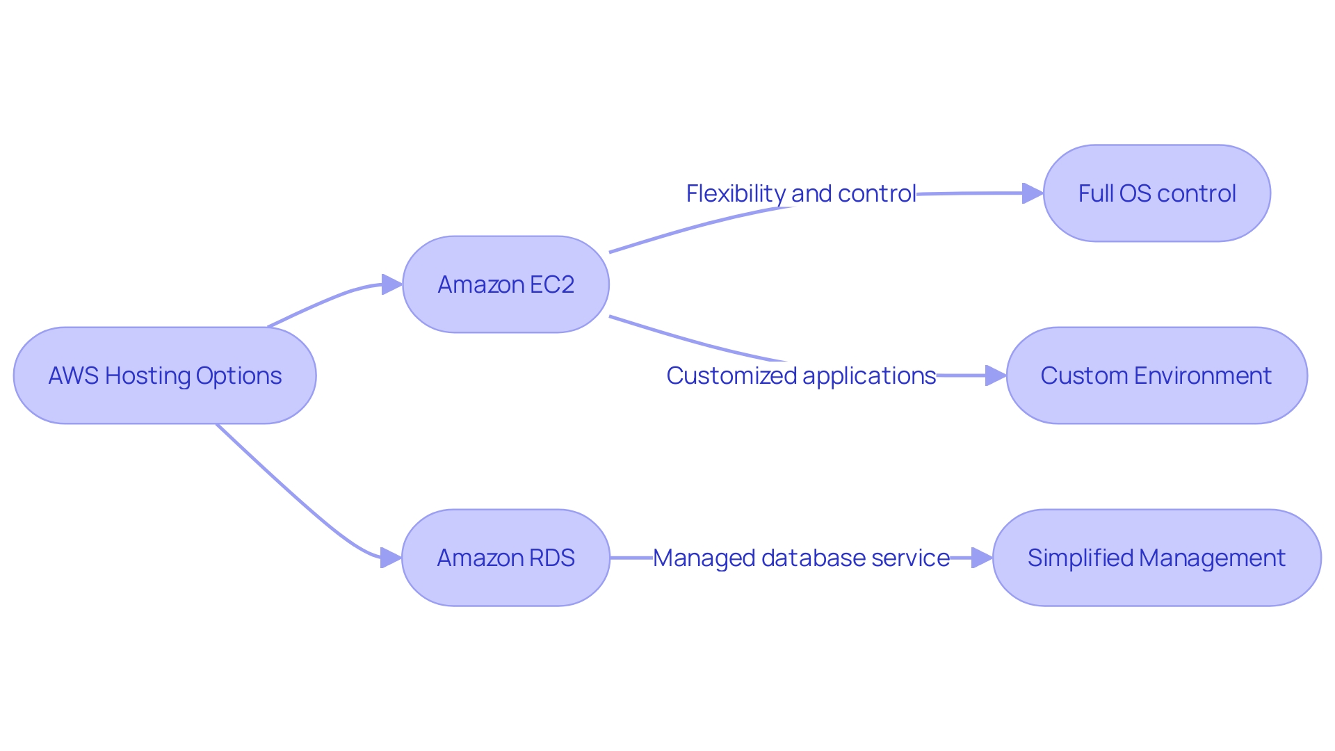 Hosting Options on AWS