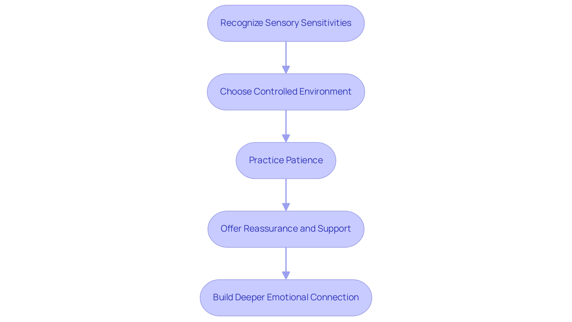 Each box represents a key step in dating an autistic partner, with colors indicating different areas of focus such as recognition, environment, emotional support, and connection.