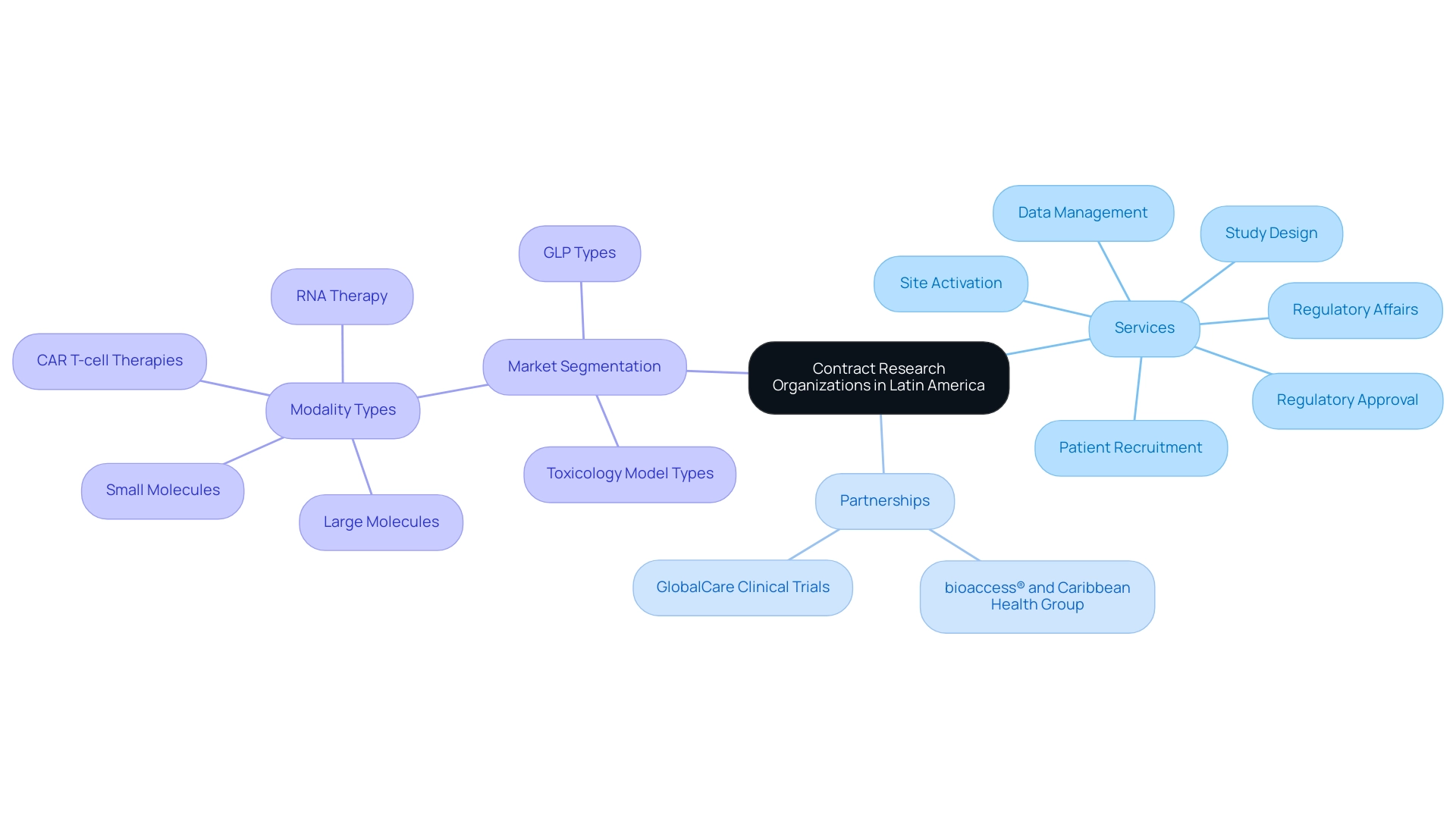 Color-coded branches represent different aspects: Services in one color, Partnerships in another, and Market Segmentation in a third color.