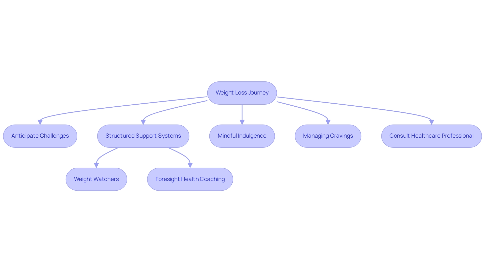 Each box represents a strategy or stage in the weight loss journey, with arrows indicating the flow and connections between different strategies.