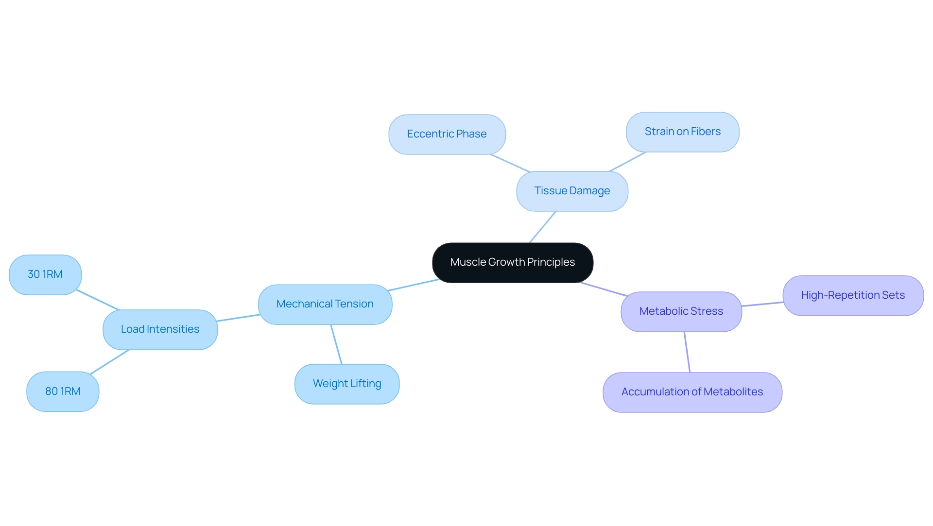 The central node represents muscle growth principles, with branches denoting key factors (mechanical tension, tissue damage, metabolic stress) and their interconnections.