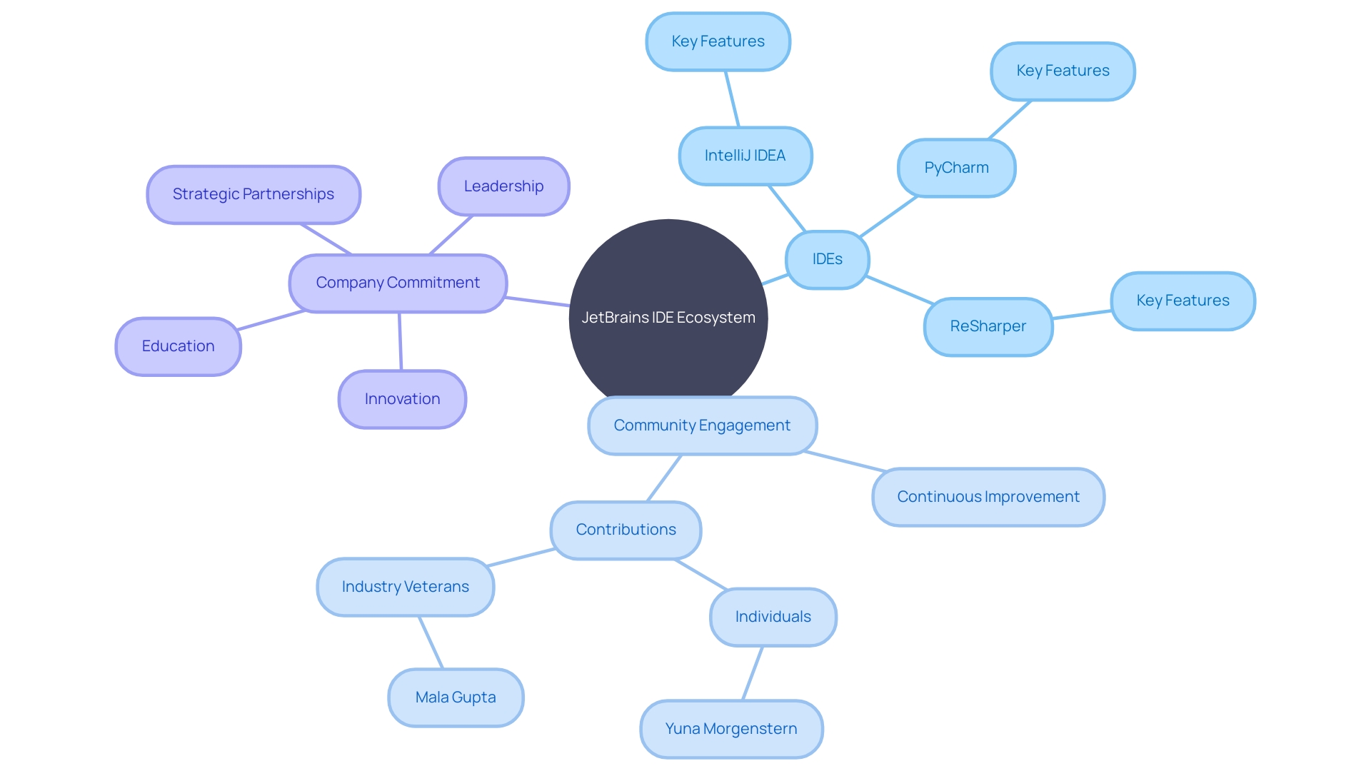 JetBrains IDE Ecosystem and Community