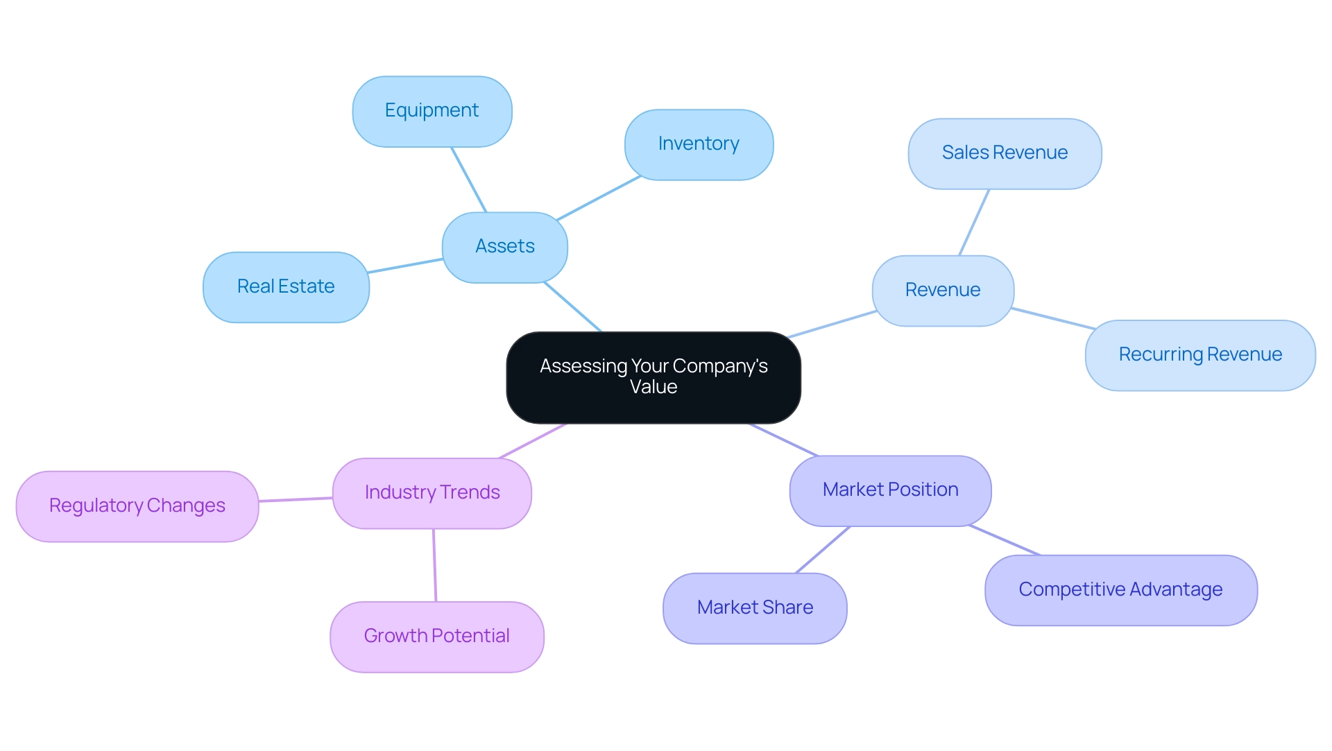 The central node represents the overall valuation process, with branches showing key factors affecting company value.