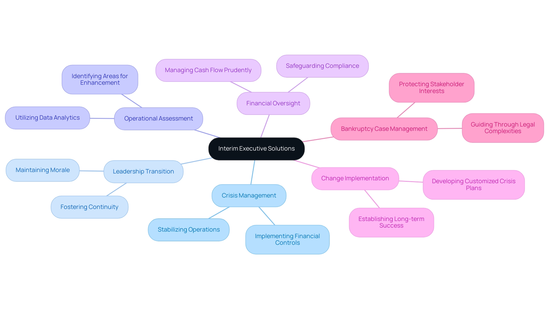 Each branch represents a key responsibility of interim executives, with sub-branches providing specific examples or details related to that responsibility.