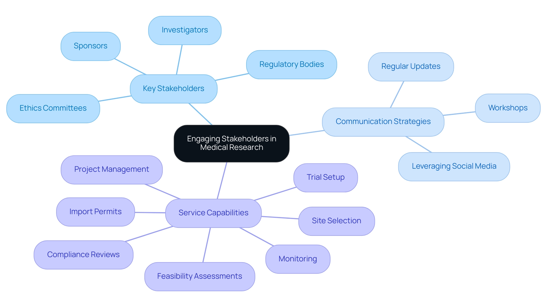 The central node represents the overall theme; branches indicate key stakeholder categories, communication strategies, and service capabilities, differentiated by color.