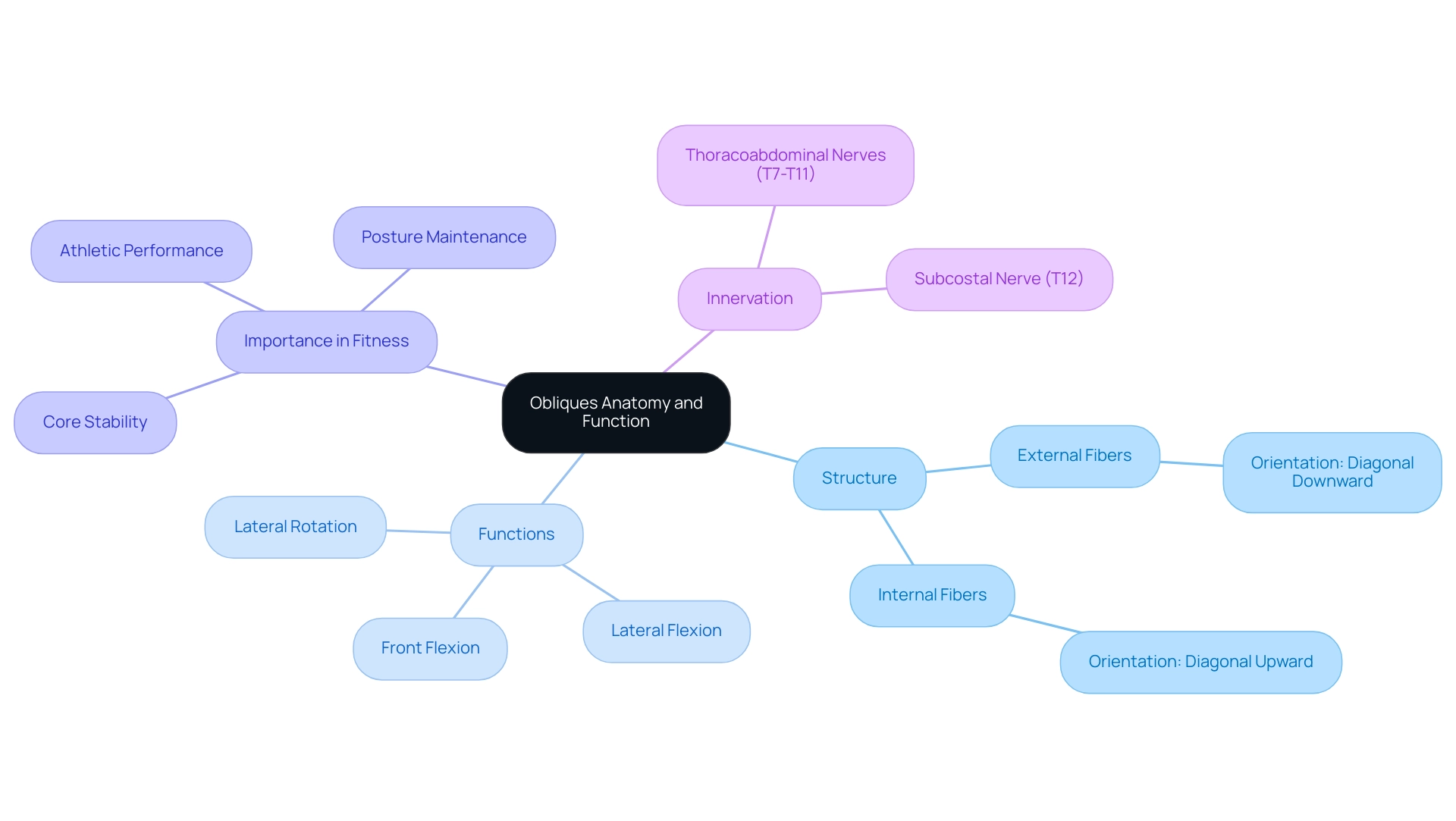 The central node represents the obliques, with branches for structure, functions, and their significance in fitness, color-coded for clarity.