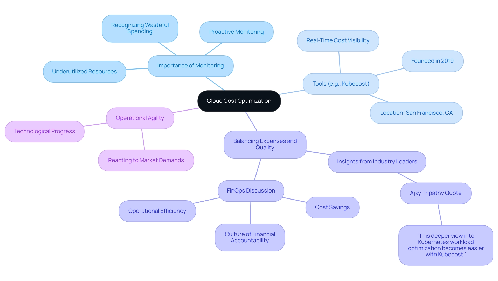 The central node represents cloud cost optimization, with branches indicating key themes and sub-branches providing detailed insights and tools.