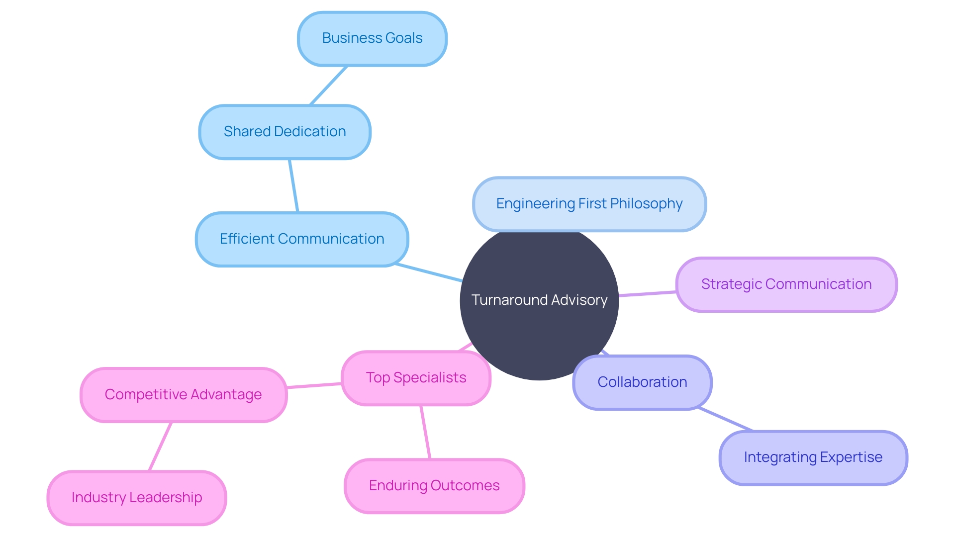 Key Concepts and Relationships in Turnaround Advisory