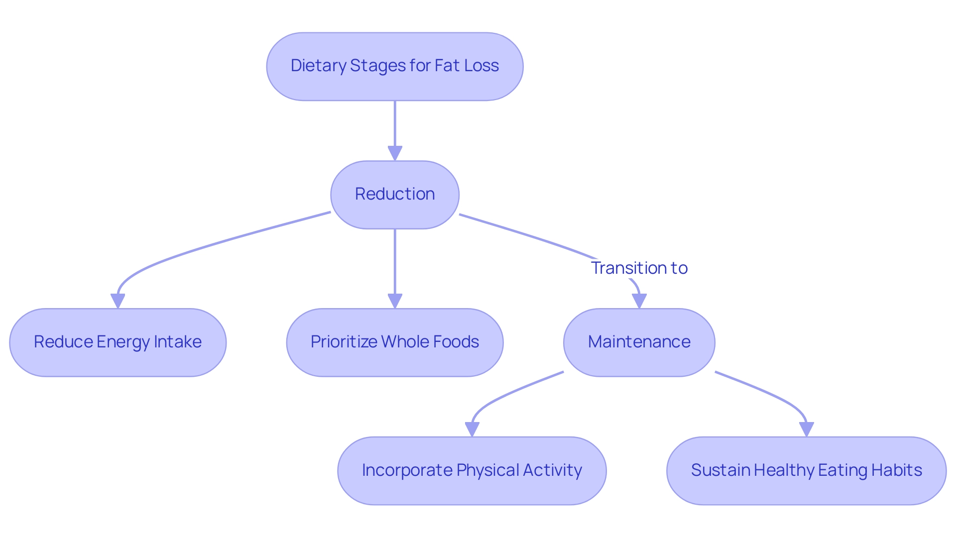 The flowchart outlines two stages in dietary programs: 'Reduction' focuses on energy intake and food choices, while 'Maintenance' emphasizes physical activity and sustainable habits.