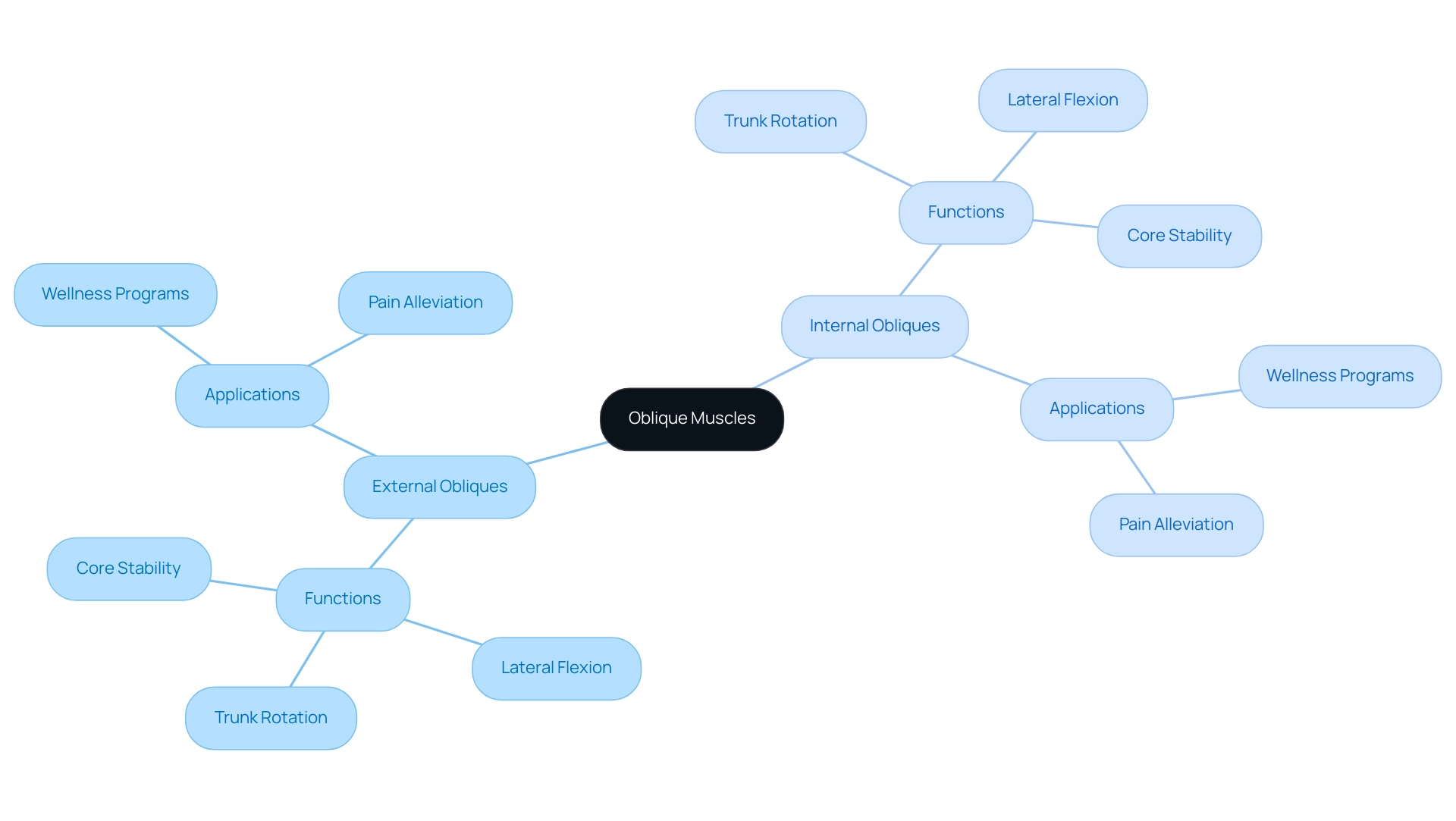 The central node represents the topic of oblique muscles, with branches for external and internal groups, detailing their functions and implications for wellness programs.