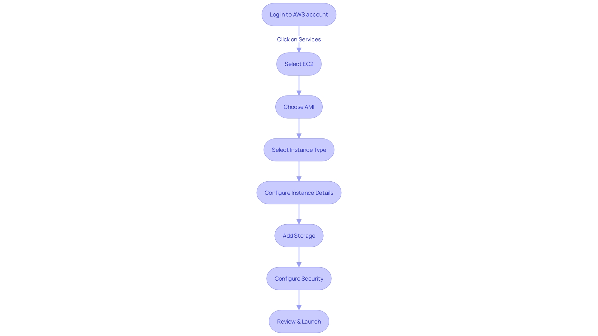 Launch Process Flowchart