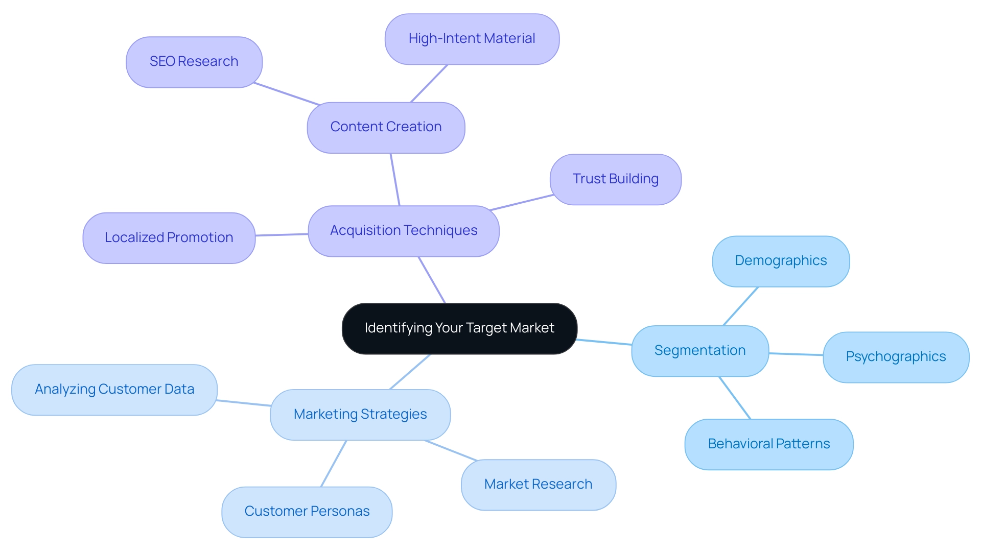 The central node represents the target market identification process, with branches for segmentation, marketing strategies, and acquisition techniques, each color-coded for clarity.