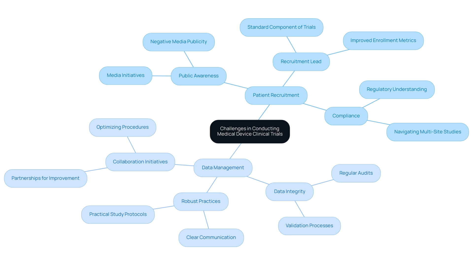 The central node represents the overall theme, with branches denoting major challenges and their respective subcategories.