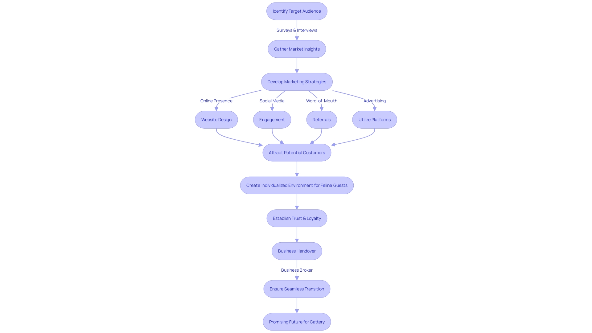 Marketing and Sales Approach for Catteries