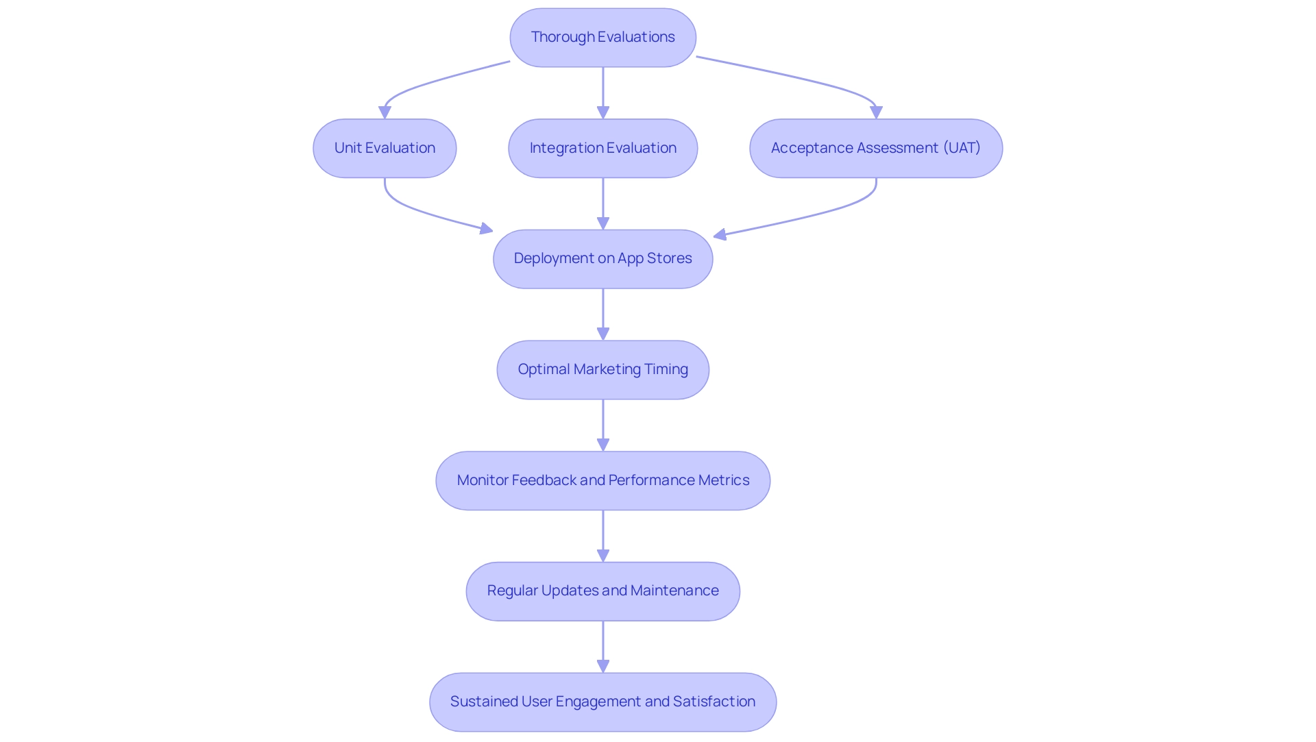 Each box represents a step in the app launch and support process, with arrows indicating the progression from evaluations to deployment, monitoring, and maintenance.