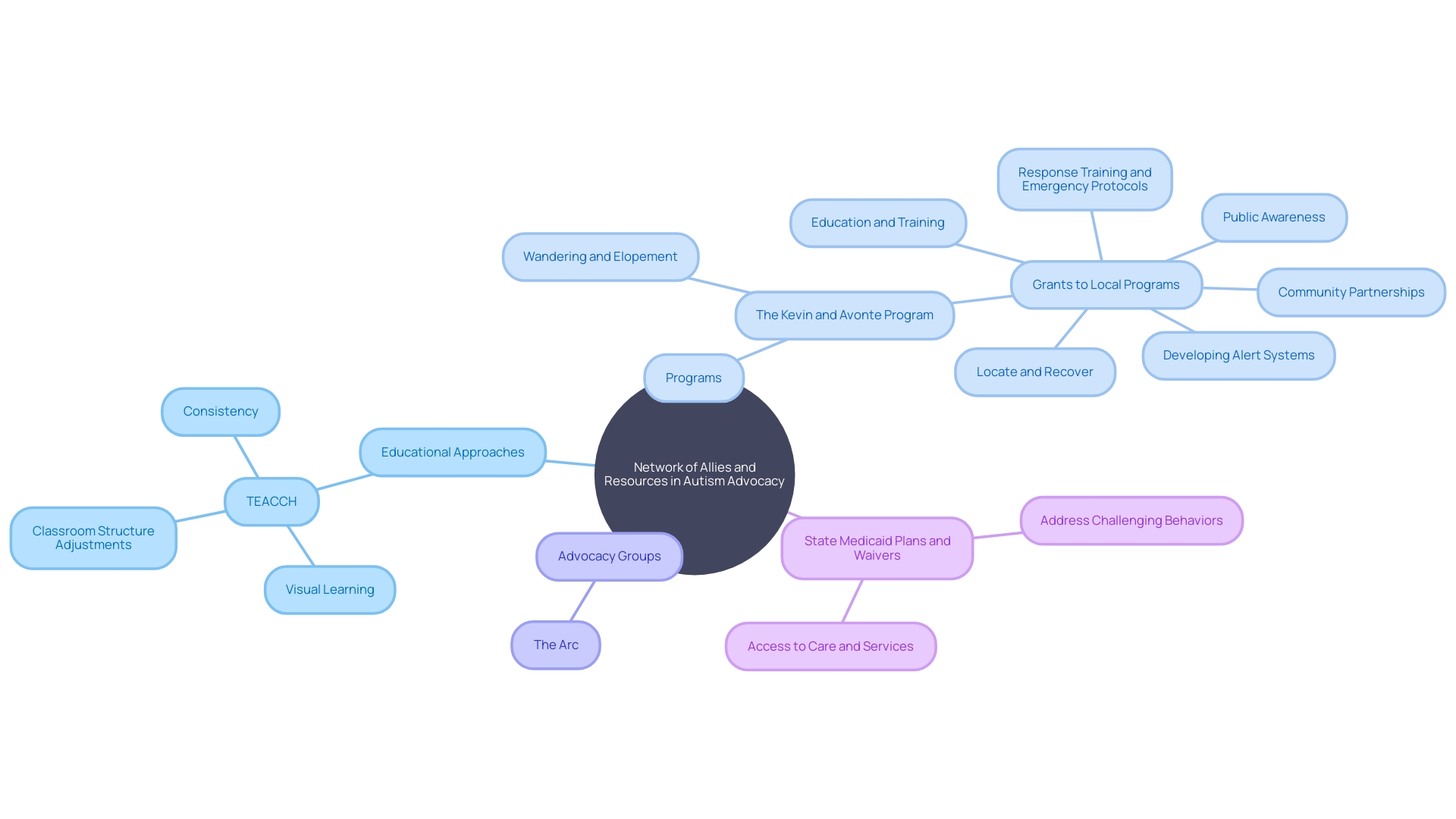 Network of Allies and Resources in Autism Advocacy