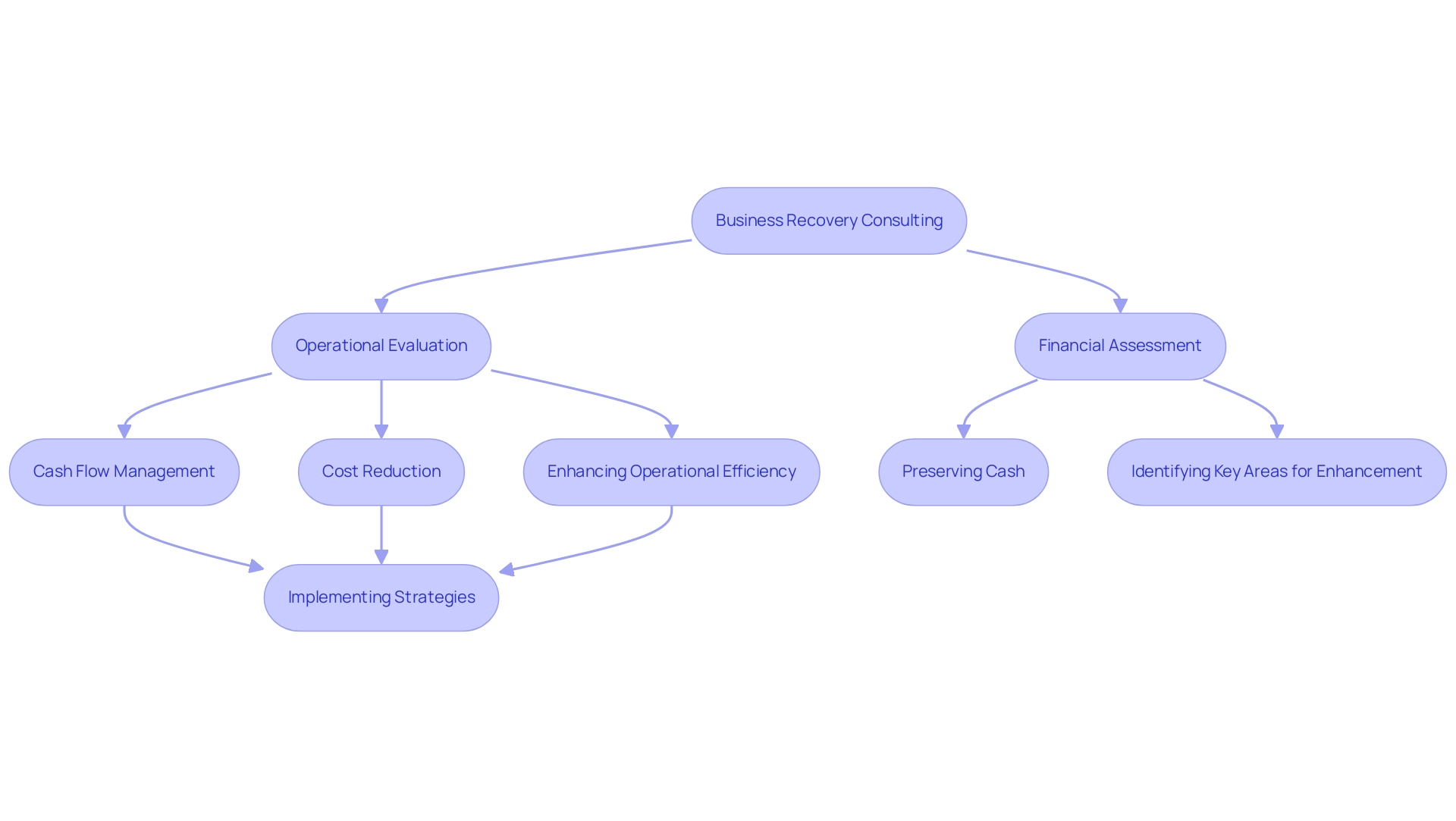 Each box represents a step in the consulting process, with arrows indicating the flow from one step to the next. Colors differentiate the major components of the turnaround strategy.